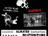 cartel-buztinzuri-1